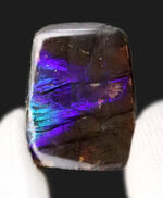 お客様の声　写真