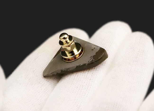 まさに理想形の「ドラゴンスキン」を呈する、生物起源の宝石アンモライト（Ammolite）のピンブローチ（その3）