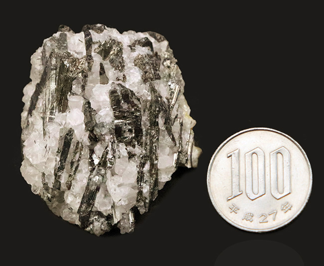 かつて1878年のパリ万国博覧会にも出品され、コレクターを魅了した、愛媛県産 市之川鉱山（閉山）産の希少な輝安鉱（Stibnite）（その7）