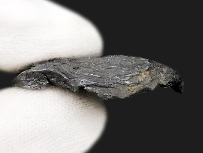 世界遺産・白川郷のほど近く、平瀬鉱山（閉山）産の高品位モリブデン（輝水鉛鉱）の天然標本（その5）