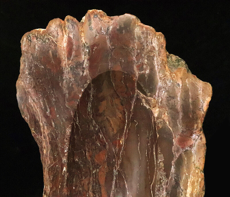 化石ファンのための小物入れ！ブラジル産の珪化木（Petrified wood）から削り出された美しい調度品（その2）