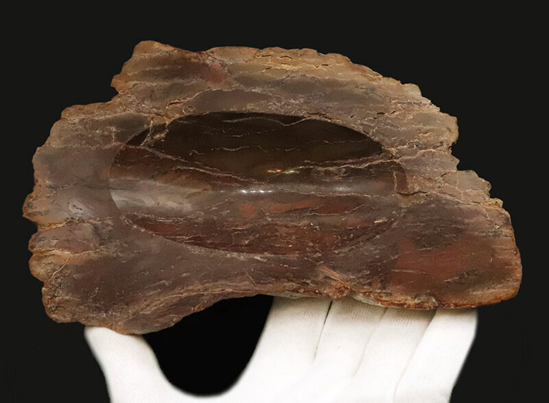 化石ファンのための小物入れ！ブラジル産の珪化木（Petrified wood）から削り出された美しい調度品（その4）