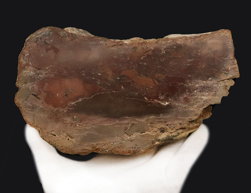 化石ファンのための小物入れ！ブラジル産の珪化木（Petrified wood）から削り出された美しい調度品（その5）