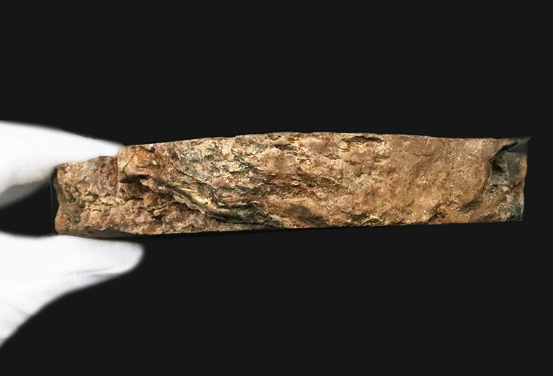化石ファンのための小物入れ！ブラジル産の珪化木（Petrified wood）から削り出された美しい調度品（その6）