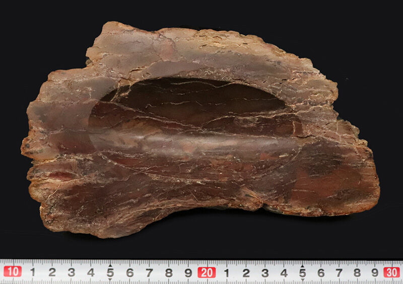 化石ファンのための小物入れ！ブラジル産の珪化木（Petrified wood）から削り出された美しい調度品（その7）