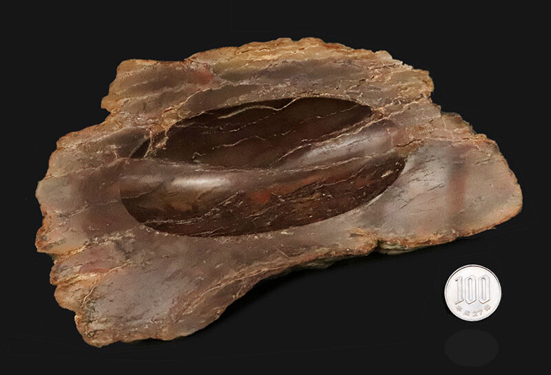 化石ファンのための小物入れ！ブラジル産の珪化木（Petrified wood）から削り出された美しい調度品（その8）