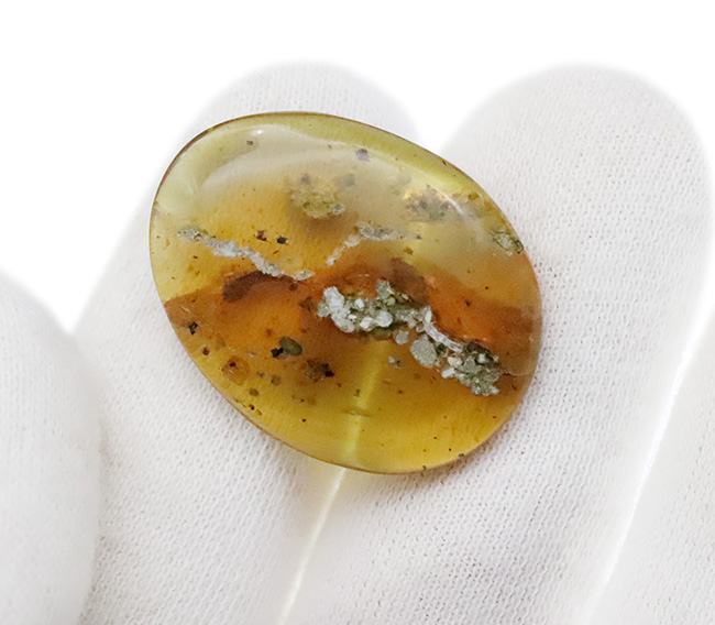 植物片を多数含む大粒サイズ（約29ミリ）のミャンマー琥珀・バーマイト（Burmite）（その7）