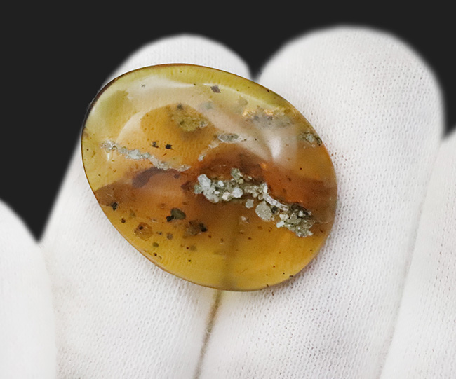 植物片を多数含む大粒サイズ（約29ミリ）のミャンマー琥珀・バーマイト（Burmite）（その8）