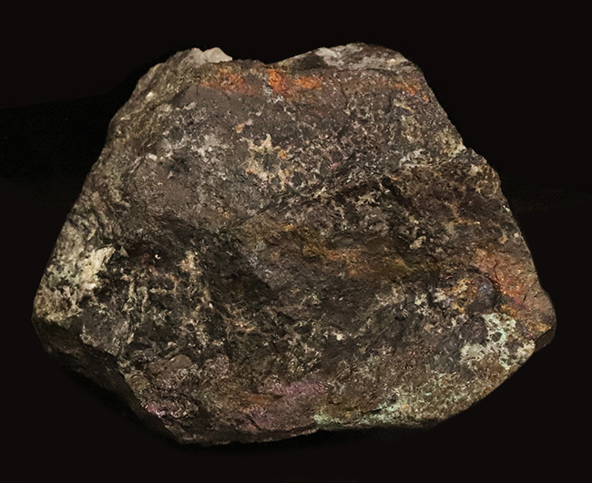 日本の産業史の一端を伝える歴史的な資料……愛媛別子鉱山産（閉山）、ボルナイト（斑銅鉱／Bornite）（その1）