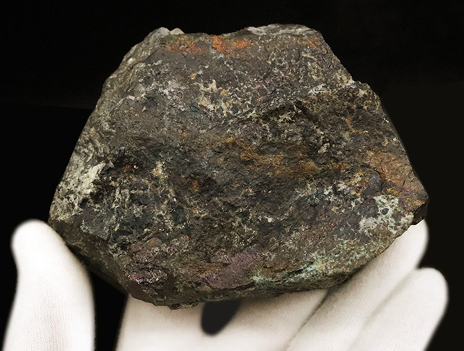 日本の産業史の一端を伝える歴史的な資料……愛媛別子鉱山産（閉山）、ボルナイト（斑銅鉱／Bornite）（その4）