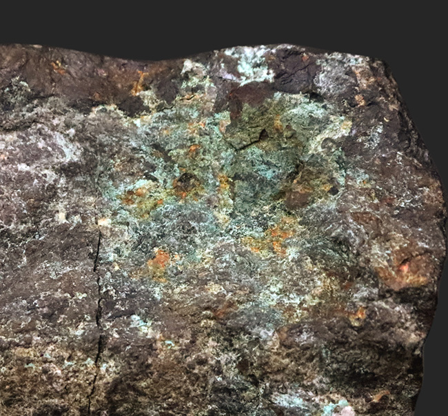 日本の産業史の一端を伝える歴史的な資料……愛媛別子鉱山産（閉山）、ボルナイト（斑銅鉱／Bornite）（その6）