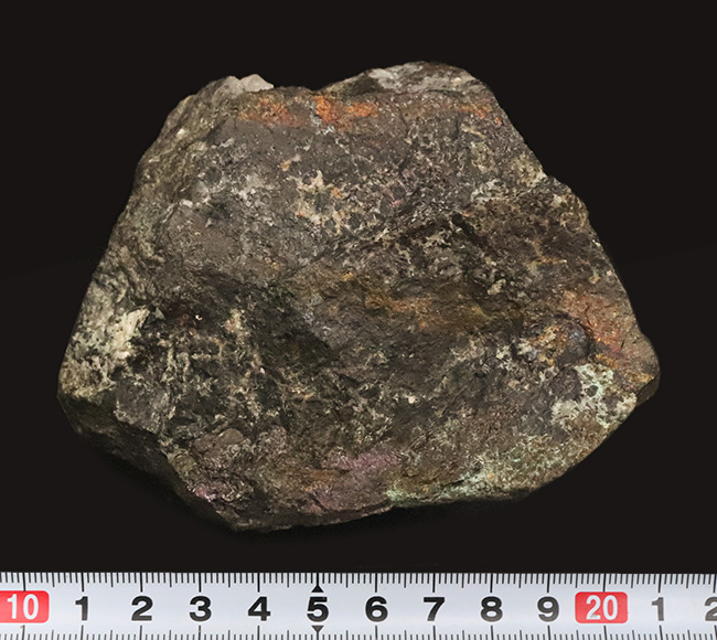 日本の産業史の一端を伝える歴史的な資料……愛媛別子鉱山産（閉山）、ボルナイト（斑銅鉱／Bornite）（その8）