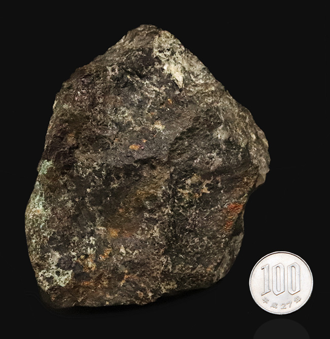 日本の産業史の一端を伝える歴史的な資料……愛媛別子鉱山産（閉山）、ボルナイト（斑銅鉱／Bornite）（その9）