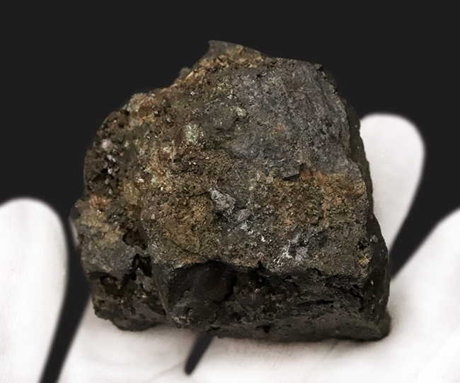 大航海時代のモバイルバッテリー、磁力あり！日本を代表するスカルン鉱床、大分県尾平鉱山産のマグネタイト（磁鉄鉱）（その4）