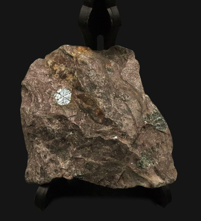 明智光秀にも関係が！？日本人の心「桜」を宿す石 … 京都府亀岡市稗田野産「桜石」（その1）