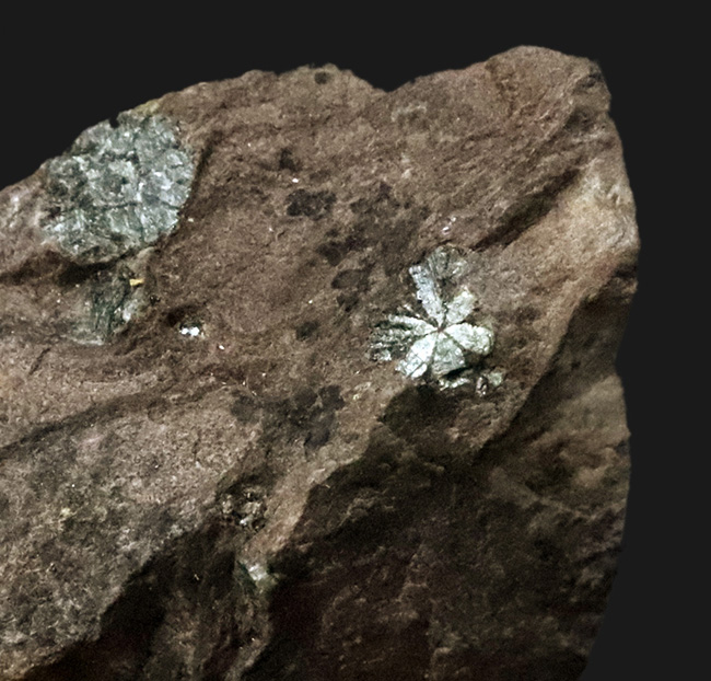 明智光秀にも関係が！？日本人の心「桜」を宿す石 … 京都府亀岡市稗田野産「桜石」（その3）