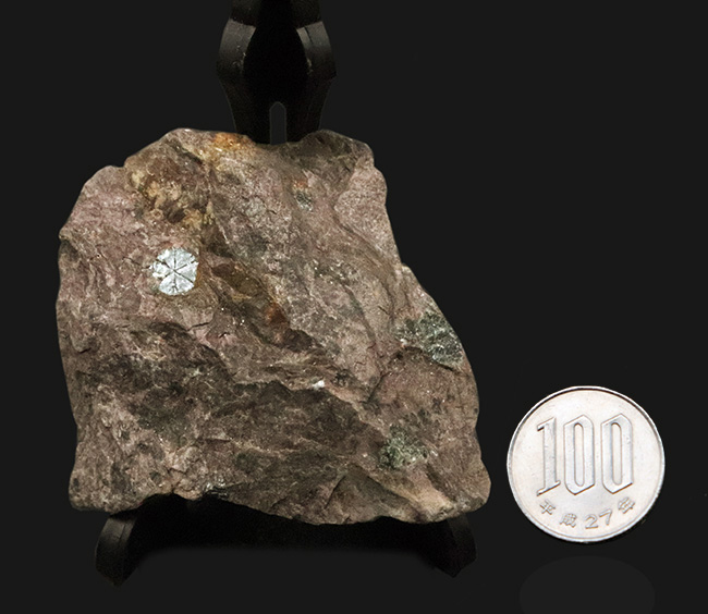 明智光秀にも関係が！？日本人の心「桜」を宿す石 … 京都府亀岡市稗田野産「桜石」（その8）