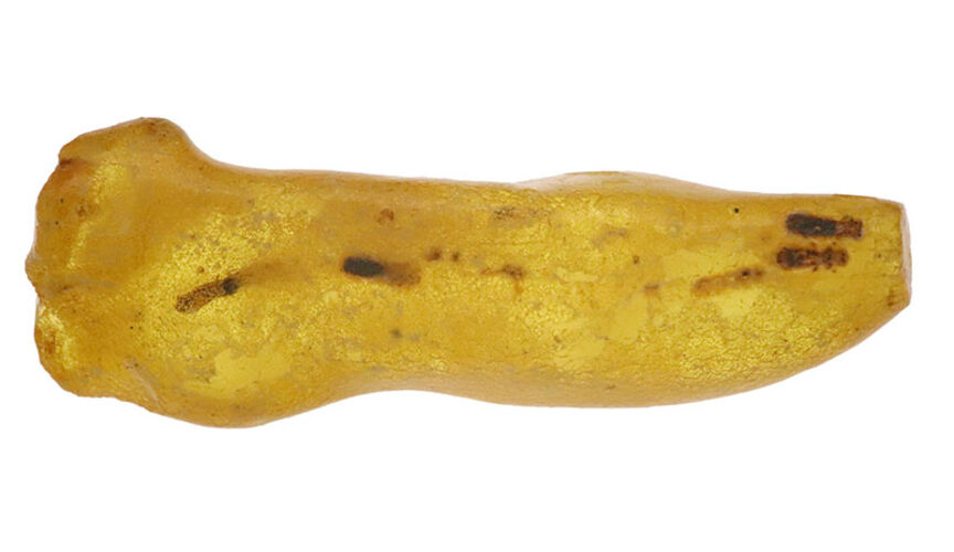なんと4.6cm級！研磨なしのナチュラル派へ……バルト海産ノンポリッシュ・虫入り琥珀（Amber）（その4）