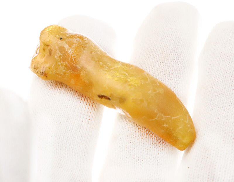なんと4.6cm級！研磨なしのナチュラル派へ……バルト海産ノンポリッシュ・虫入り琥珀（Amber）（その6）