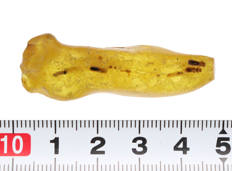 なんと4.6cm級！研磨なしのナチュラル派へ……バルト海産ノンポリッシュ・虫入り琥珀（Amber）（その8）