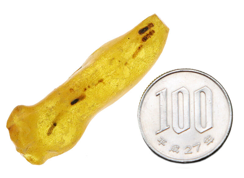 なんと4.6cm級！研磨なしのナチュラル派へ……バルト海産ノンポリッシュ・虫入り琥珀（Amber）（その9）