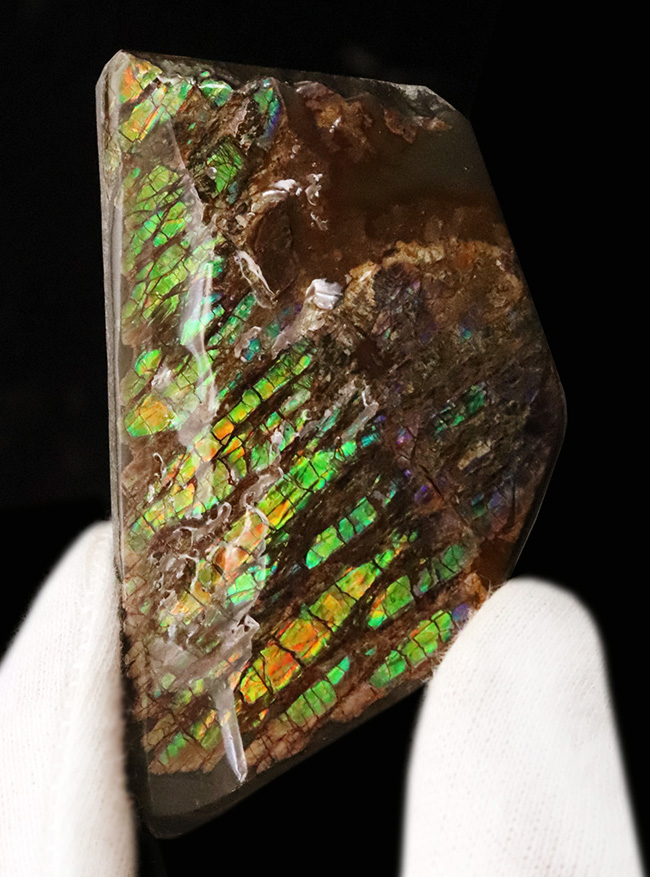 竜のうろこ模様！グリーンを中心に、オレンジやイエローも見られる、色彩豊かなアンモライト（Ammolite）のピース（その1）