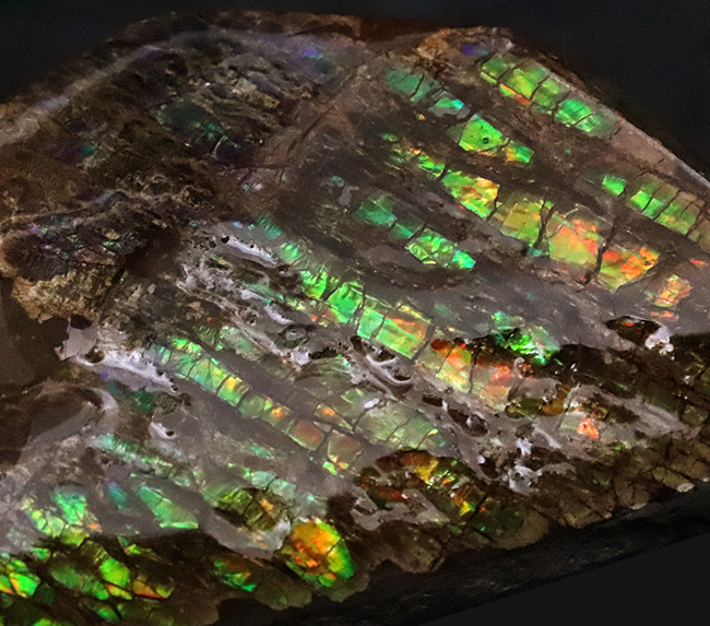 竜のうろこ模様！グリーンを中心に、オレンジやイエローも見られる、色彩豊かなアンモライト（Ammolite）のピース（その2）