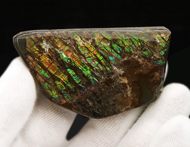 竜のうろこ模様！グリーンを中心に、オレンジやイエローも見られる、色彩豊かなアンモライト（Ammolite）のピース（その3）