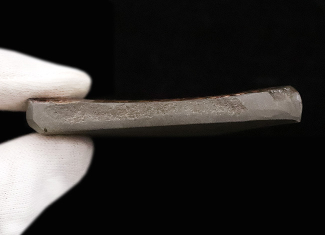 竜のうろこ模様！グリーンを中心に、オレンジやイエローも見られる、色彩豊かなアンモライト（Ammolite）のピース（その5）