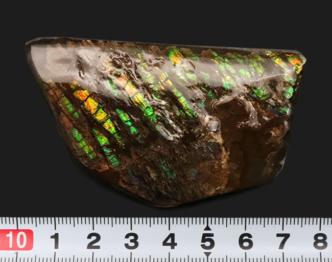 竜のうろこ模様！グリーンを中心に、オレンジやイエローも見られる、色彩豊かなアンモライト（Ammolite）のピース（その6）
