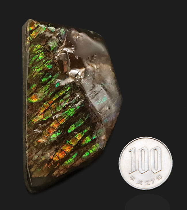 竜のうろこ模様！グリーンを中心に、オレンジやイエローも見られる、色彩豊かなアンモライト（Ammolite）のピース（その7）