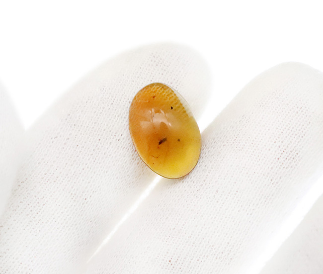 翅脈（しみゃく）まで鮮明に残る羽虫を内包した、恐竜時代の樹脂の化石兼宝石「バーマイト（Burmite）」（その3）