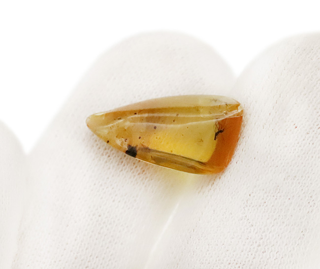 透明度が高く、純粋に琥珀として美しい個体、複数の虫を内包したバーマイト（Burmite）（その6）