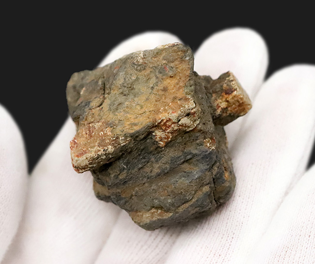 日本由来の美しい石を貴方のデスクに飾ってみませんか？京都府亀岡市稗田野産「桜石」（その4）