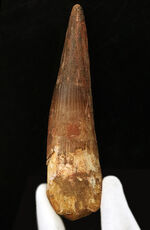 お客様の声　写真