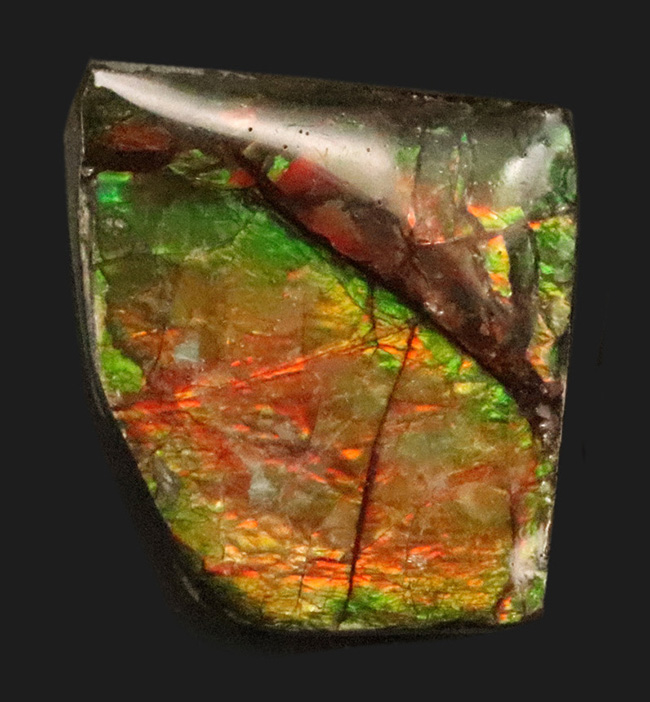 ミクロな遊色層が生み出す極彩色の世界……カナダ・アルバータ州の公式の宝石、アンモライト（Ammolite）のピース（その1）