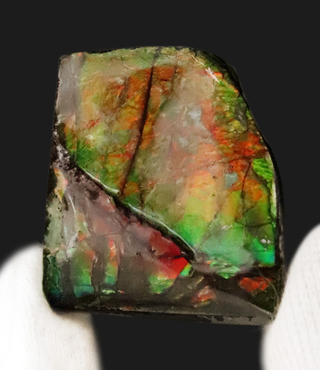 ミクロな遊色層が生み出す極彩色の世界……カナダ・アルバータ州の公式の宝石、アンモライト（Ammolite）のピース（その2）