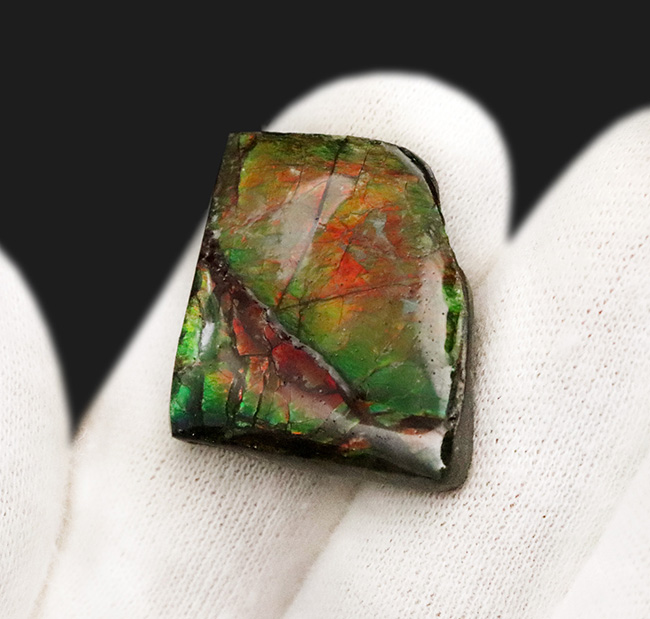 ミクロな遊色層が生み出す極彩色の世界……カナダ・アルバータ州の公式の宝石、アンモライト（Ammolite）のピース（その3）