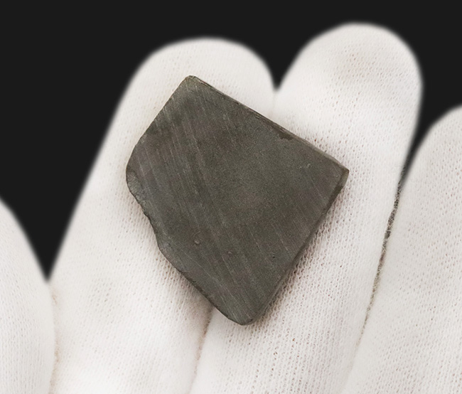 ミクロな遊色層が生み出す極彩色の世界……カナダ・アルバータ州の公式の宝石、アンモライト（Ammolite）のピース（その5）