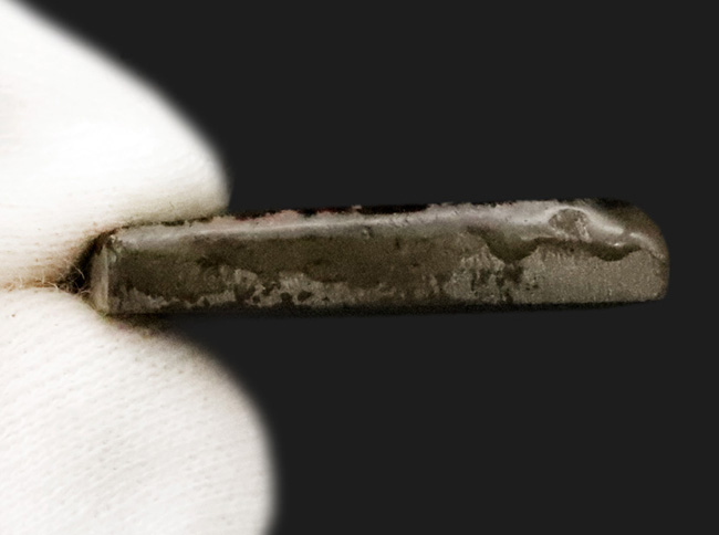 ミクロな遊色層が生み出す極彩色の世界……カナダ・アルバータ州の公式の宝石、アンモライト（Ammolite）のピース（その6）