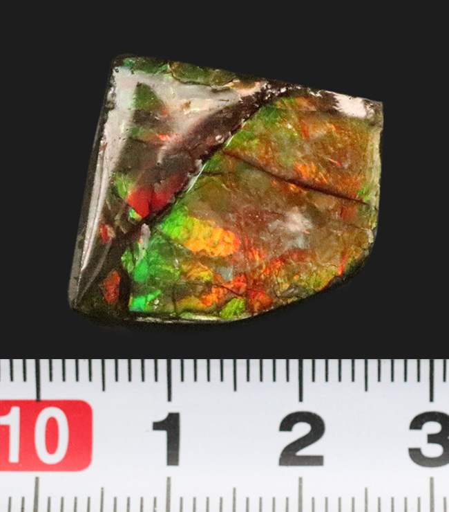 ミクロな遊色層が生み出す極彩色の世界……カナダ・アルバータ州の公式の宝石、アンモライト（Ammolite）のピース（その7）