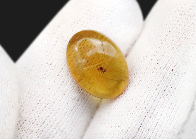 クモを内包したバーマイト（Burmite）琥珀 化石 販売