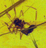 お客様の声　写真