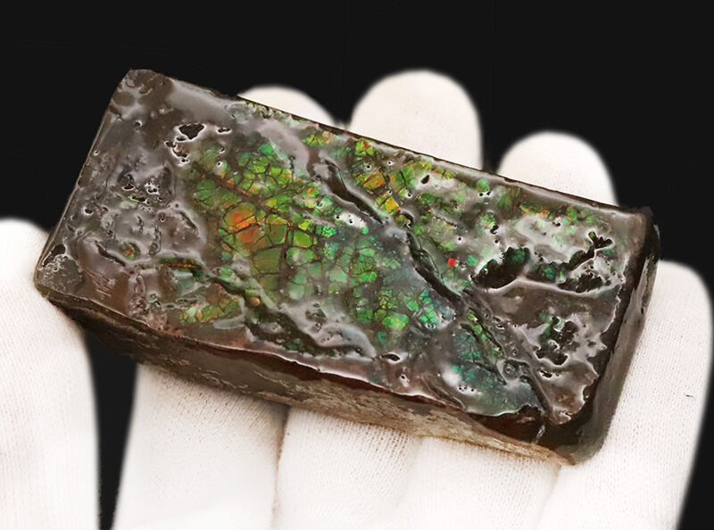 ドラゴン・スキン標本！鮮やかな緑と赤の遊色に魅せられる、カナダ産アンモライト（Ammolite）のピース（その5）