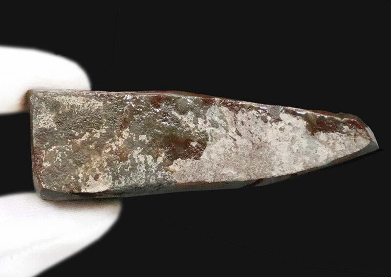 ドラゴン・スキン標本！鮮やかな緑と赤の遊色に魅せられる、カナダ産アンモライト（Ammolite）のピース（その7）
