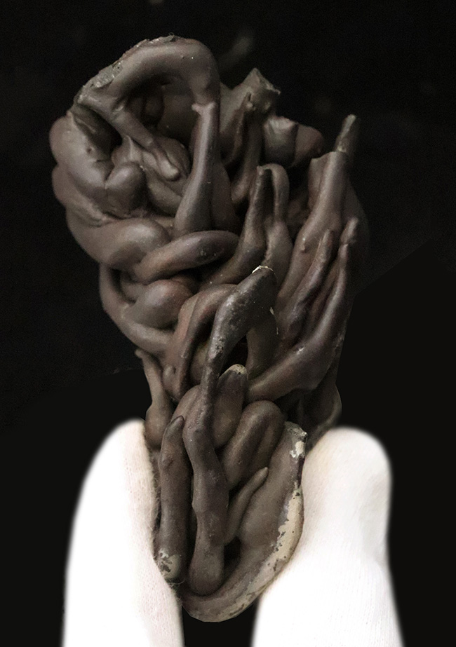 この見た目のインパクト、迫力！ハワイ・キラウェア火山産 縄状溶岩 パホイホイ溶岩（Pahoehoe lava）（その1）