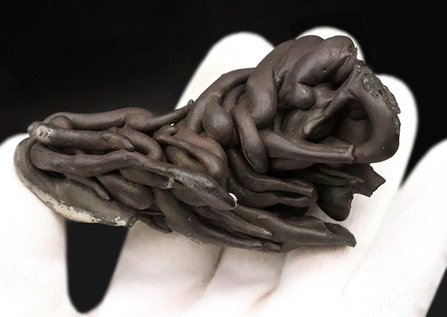 この見た目のインパクト、迫力！ハワイ・キラウェア火山産 縄状溶岩 パホイホイ溶岩（Pahoehoe lava）（その2）