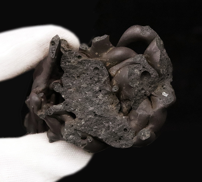 この見た目のインパクト、迫力！ハワイ・キラウェア火山産 縄状溶岩 パホイホイ溶岩（Pahoehoe lava）（その6）