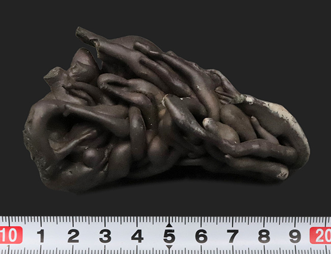 この見た目のインパクト、迫力！ハワイ・キラウェア火山産 縄状溶岩 パホイホイ溶岩（Pahoehoe lava）（その7）