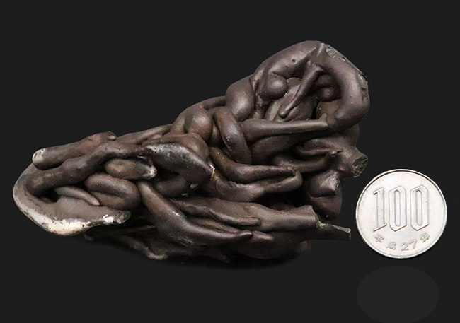 この見た目のインパクト、迫力！ハワイ・キラウェア火山産 縄状溶岩 パホイホイ溶岩（Pahoehoe lava）（その8）